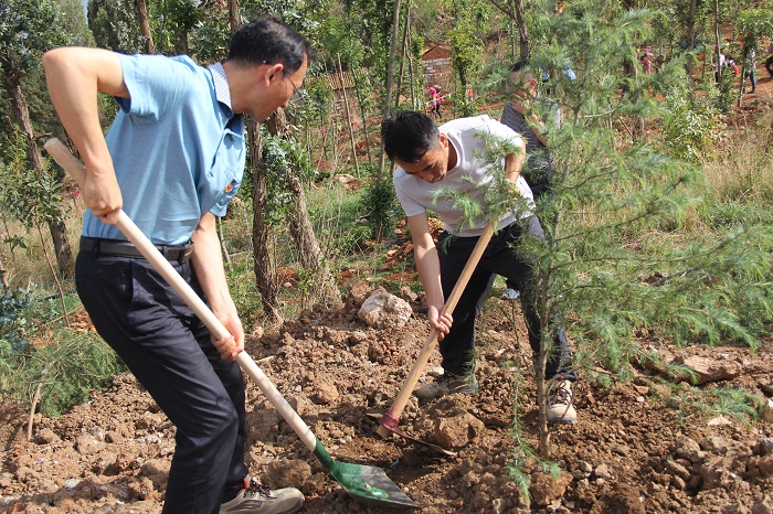 1560224379589449.jpg IMG_8037.JPG