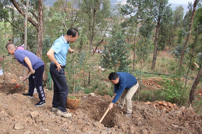 1560224435128406.jpg IMG_8133改.jpg